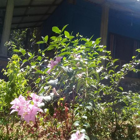 Dambulla Sun Vsh Holiday Buitenkant foto