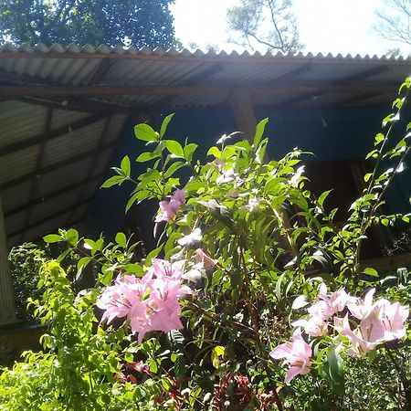 Dambulla Sun Vsh Holiday Buitenkant foto