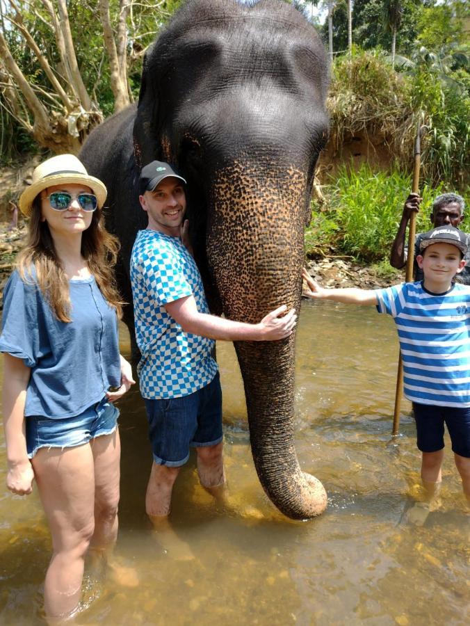 Dambulla Sun Vsh Holiday Buitenkant foto