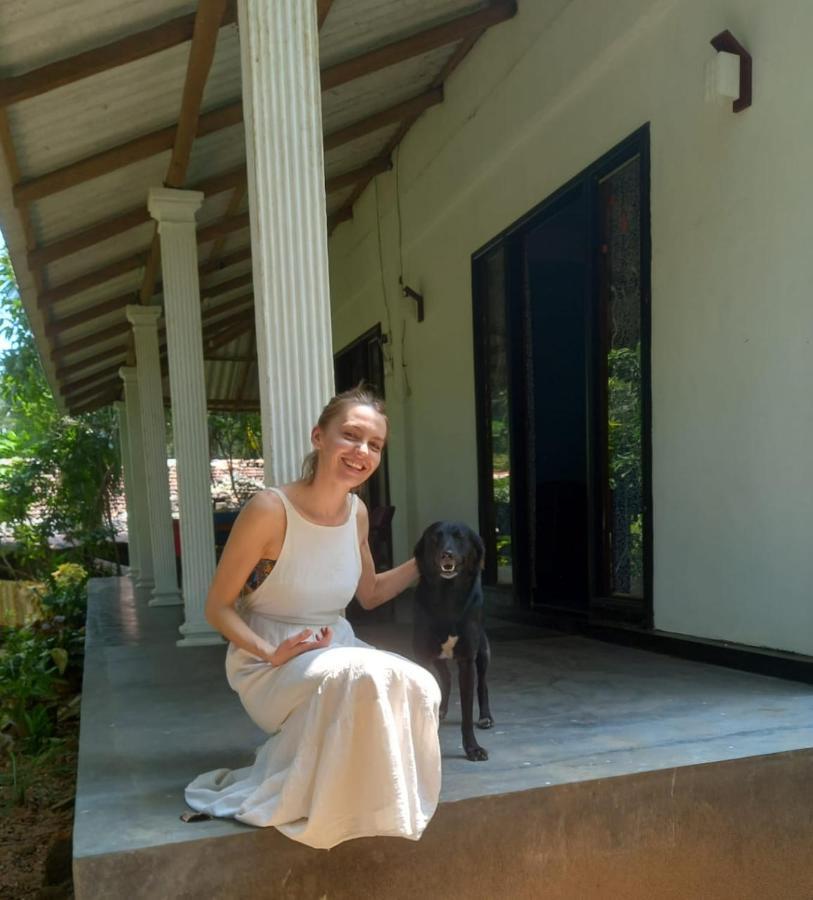 Dambulla Sun Vsh Holiday Buitenkant foto