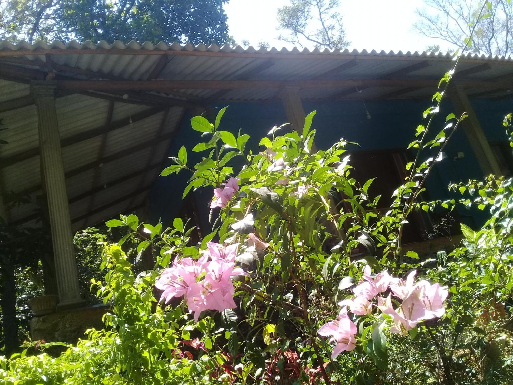 Dambulla Sun Vsh Holiday Buitenkant foto